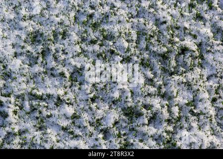 Le terrain de football à l'herbe verte artificielle est recouvert d'une légère couche de neige. Début du printemps. L'herbe verte sur le terrain de football est visible de Banque D'Images