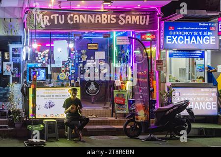 Boutique de cannabis légale façade, Chaweng, Ko Samui, Thaïlande Banque D'Images