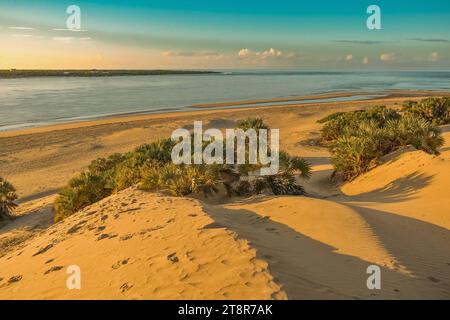 Dunes de sable à Shela Beach au lever du soleil à Lamu Isand, Kenya Banque D'Images