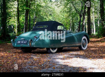 Early (1948) conduite à gauche Jaguar XK120 classique voiture de sport britannique Banque D'Images