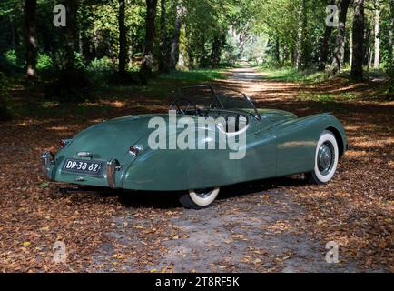 Early (1948) conduite à gauche Jaguar XK120 classique voiture de sport britannique Banque D'Images