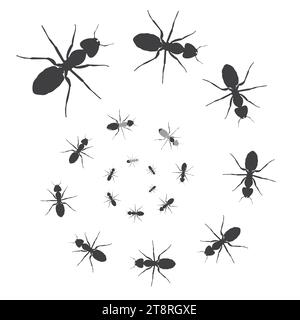 Une ligne de fourmis marchant à la recherche de nourriture. Vector illustration Illustration de Vecteur