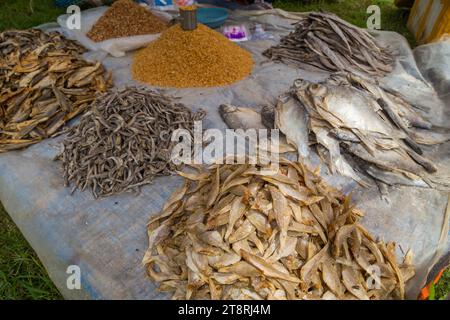 Poisson séché sur un marché sur le lac Inle au Myanmar. Asie du Sud-est Banque D'Images