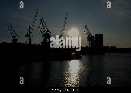 Vue de silhouette des grues de jetée. Banque D'Images