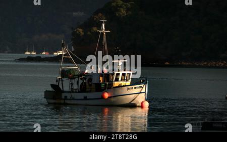 Mouillage matinal Akaroa, Akaroa Harbour fait partie de la péninsule de Banks dans la région de Canterbury en Nouvelle-Zélande. C'est l'une des deux principales criques de la péninsule de Banks, sur la côte de Canterbury, en Nouvelle-Zélande Banque D'Images