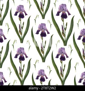 Les fleurs d'iris et les gouttes de neige sont faites à l'aquarelle sur fond blanc. Idéal pour l'emballage, le papier peint et l'impression de tissus. Banque D'Images