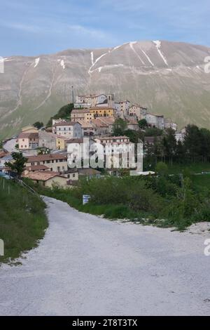 La floraison des lentilles 2016 Castelluccio di Norcia dans le parc Sibillini Banque D'Images