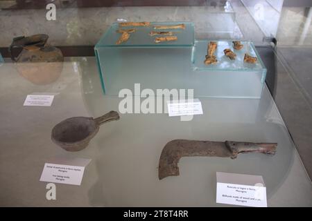 Ruines de Pompéi : exposition de produits alimentaires conservés et d'outils, vestiges de la ville romaine enterrés par l'éruption du mont. Vésuve en 79 AD et fouillé dans les temps modernes, Italie Banque D'Images