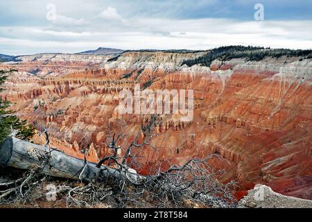 Le parc national de Bryce Canyon, une vaste réserve dans le sud de l'Utah, est connu pour ses hoodoos de couleur cramoisi, qui sont des formations rocheuses en forme de flèche. La route principale du parc passe devant le vaste amphithéâtre Bryce, une dépression remplie de hoodoo située sous le sentier de randonnée Rim Trail. Il offre des vues sur Sunrise point, Sunset point, inspiration point et Bryce point. Les heures de visionnement sont autour du lever et du coucher du soleil Banque D'Images