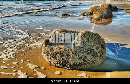 Concrétions, les Moeraki Boulders sont un groupe de grandes «pierres» sphériques sur la plage de Koekohe près de Moeraki sur la côte néo-zélandaise de l'Otago. Ces rochers sont en fait des concrétions qui ont été exposées par l'érosion du rivage à partir des falaises côtières. Même aujourd'hui, il y a encore des rochers qui restent dans le mudstone qui finiront par tomber sur la plage lorsqu'ils perdront à cause de l'érosion Banque D'Images