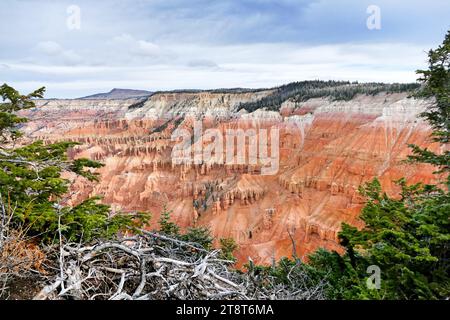 Le parc national de Bryce Canyon, une vaste réserve dans le sud de l'Utah, est connu pour ses hoodoos de couleur cramoisi, qui sont des formations rocheuses en forme de flèche. La route principale du parc passe devant le vaste amphithéâtre Bryce, une dépression remplie de hoodoo située sous le sentier de randonnée Rim Trail. Il offre des vues sur Sunrise point, Sunset point, inspiration point et Bryce point. Les heures de visionnement sont autour du lever et du coucher du soleil Banque D'Images