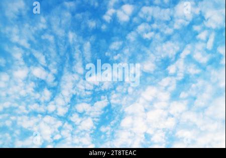 Nuages blancs d'Altocumulus dispersés sur Sunny Blue Sky Banque D'Images