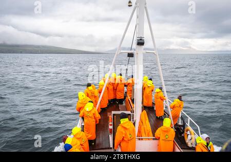 Les touristes sur un bateau d'observation des baleines, l'Islande, Husavik Banque D'Images