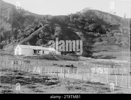 Woolshed à Tokomaru Bay, côte est, vue d'un hangar à laine sur une station de moutons non identifiée dans les environs de Tokomaru Bay. Un garçon est assis sur une porte regardant le photographe à mi-distance. au début des années 1900 Banque D'Images