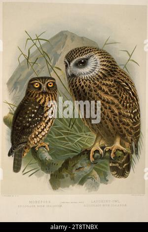 Keulemans, John Gerrard 1842-1912, Morepork, Spiloglaux novae-zealandiae ; hibou laughing, Sceloglaux novae-zelandiae. J.G. Keulemans delt. & lith. Plaque XX. 1888, montre morepork à gauche, et hibou riant au premier plan à droite Banque D'Images