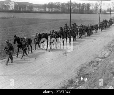 Quelques pièces d'artillerie néo-zélandaise sur la marche, colonne de la 2nd Artillery Brigade sur la marche près du front occidental. Photographie prise 1917 Banque D'Images