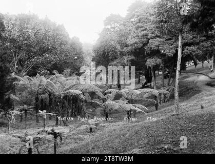 Arbres à Western Park, Ponsonby, Auckland, Nouvelle-Zélande, scène à Western Park, Ponsonby, Auckland, Nouvelle-Zélande, montrant un chemin menant à travers les arbres. Un bosquet d'arbres sont sur la gauche. À mi-distance se trouvent deux personnes sur un banc de parc. Photographie prise par P.P.Co vers 1913-1914 Banque D'Images