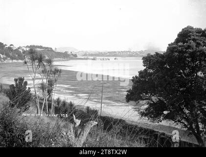 Northcote Wharf de Hall's Beach, Auckland, Nouvelle-Zélande, vue du quai Northcote avec Auckland, la ville de Nouvelle-Zélande, St Mary's Bay et Westhaven au loin. Prise d'un point de vue sur une pente herbeuse près de l'estran de Hall's Beach et donnant sur la baie de Little Shoal. Des choux et un pohutukawa sont au premier plan immédiat et des gens peuvent être vus marchant sur les plates-formes de marée au loin. Un ferry approche du quai et un autre navire peut être vu au loin se dirigeant vers Auckland, en Nouvelle-Zélande. Prise ca 1908 d'Auckland, Nouvelle-Zélande Banque D'Images