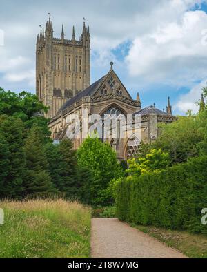 Prise dans le parc du palais des évêques à Wells, Somerset Angleterre, Royaume-Uni, à l'été 2022, montrant une vue sur les jardins avec la cathédrale derrière Banque D'Images