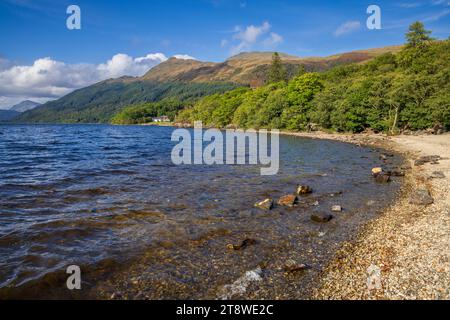 Loch Lomond, Ptarmigan et Ben Lomond, Trossachs, Stirling, Écosse Banque D'Images