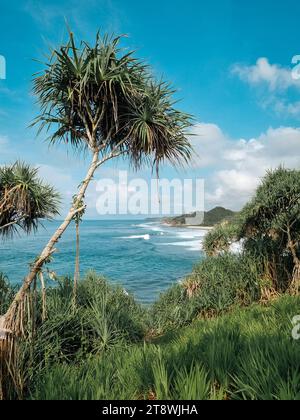 Vue sur le paysage de Drini Beach, Gunung Kidul, Yogyakarta, Indonésie Banque D'Images