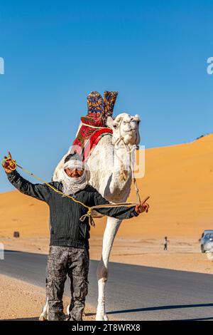 Saoura, Algérie - 28 décembre 2022 : un touareg local marchant et posant avec son dromadaire blanc décoré d'une selle en tissu rouge dans le désert du Sahara avec des dunes de sable et un ciel bleu en arrière-plan. Banque D'Images