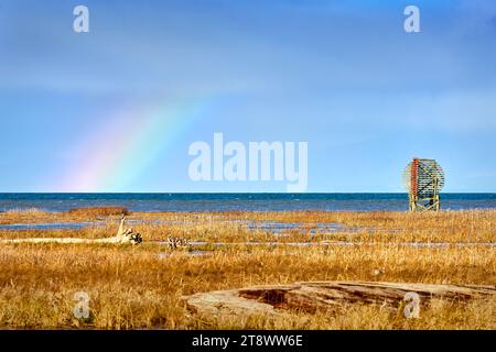 West Dyke Rainbow Richmond BC. Nuages et arc-en-ciel au-dessus des marais de West Dyke sur le bord du détroit de Georgia. Richmond, Colombie-Britannique, Canada n Banque D'Images