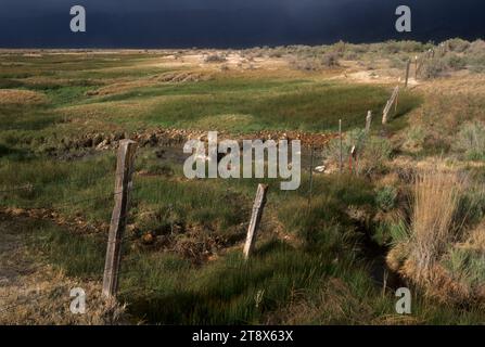 Ligne de clôture avec orage, Oregon Outback Scenic Byway, Summer Lake Wildlife Area, Oregon Banque D'Images