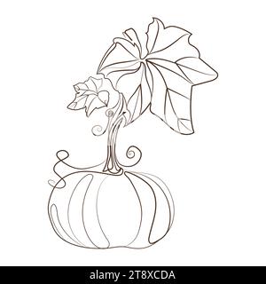 Citrouille avec la tige et les feuilles dessin de style dessin illustration vectoriel.Minimalist liner sketch citrouille isolé sur fond blanc. Illustration de Vecteur