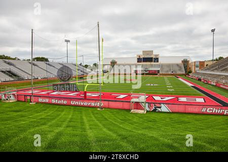 Stade Scheumann herbe verte luxuriante, places vides et poteau de but jaune sur le terrain de football Banque D'Images