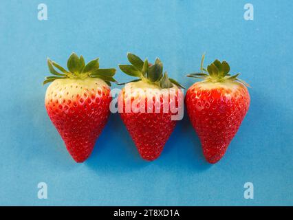 Trois fraises fraîches dans une rangée Banque D'Images