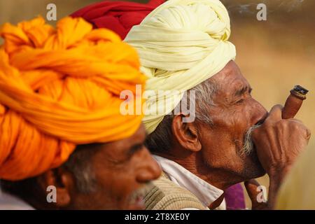 Pushkar, Inde. 19 novembre 2023. Un chameau fume un cigare en attendant des clients à la foire de Pushkar dans l'état indien désertique du Rajasthan le 19 novembre 2023. De nombreux touristes internationaux et nationaux affluent à Pushkar pour assister à l'une des foires les plus colorées et populaires en Inde. Des milliers d'animaux, principalement des chameaux, sont amenés à la foire pour être vendus et échangés. Photo de ABACAPRESS.COM crédit : Abaca Press/Alamy Live News Banque D'Images