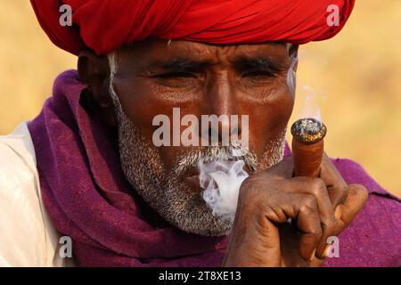 Pushkar, Inde. 19 novembre 2023. Un chameau fume un cigare en attendant des clients à la foire de Pushkar dans l'état indien désertique du Rajasthan le 19 novembre 2023. De nombreux touristes internationaux et nationaux affluent à Pushkar pour assister à l'une des foires les plus colorées et populaires en Inde. Des milliers d'animaux, principalement des chameaux, sont amenés à la foire pour être vendus et échangés. Photo de ABACAPRESS.COM crédit : Abaca Press/Alamy Live News Banque D'Images