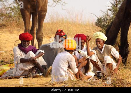 Pushkar, Inde. 19 novembre 2023. Un chameau fume un cigare en attendant des clients à la foire de Pushkar dans l'état indien désertique du Rajasthan le 19 novembre 2023. De nombreux touristes internationaux et nationaux affluent à Pushkar pour assister à l'une des foires les plus colorées et populaires en Inde. Des milliers d'animaux, principalement des chameaux, sont amenés à la foire pour être vendus et échangés. Photo de ABACAPRESS.COM crédit : Abaca Press/Alamy Live News Banque D'Images