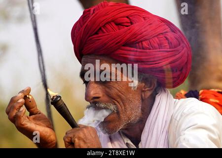 Pushkar, Inde. 19 novembre 2023. Un chameau fume un cigare en attendant des clients à la foire de Pushkar dans l'état indien désertique du Rajasthan le 19 novembre 2023. De nombreux touristes internationaux et nationaux affluent à Pushkar pour assister à l'une des foires les plus colorées et populaires en Inde. Des milliers d'animaux, principalement des chameaux, sont amenés à la foire pour être vendus et échangés. Photo de ABACAPRESS.COM crédit : Abaca Press/Alamy Live News Banque D'Images