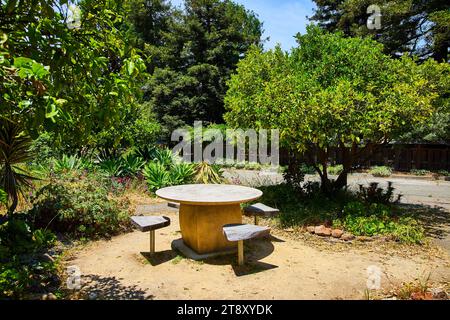 Bancs en bois paisibles et sereins autour de la table circulaire en pierre dans le jardin du parc par jour lumineux Banque D'Images
