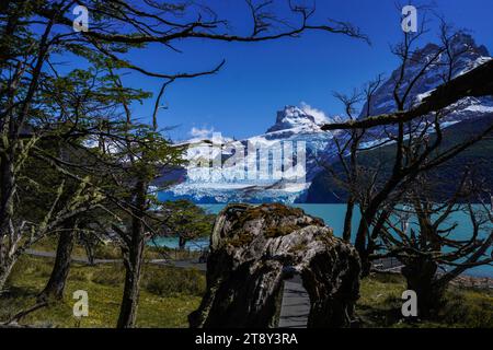 Vue frontale du Glacier Spegazzini en Patagonie, Argentine. Banque D'Images