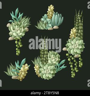 Succulentes et cactus isolés. Vecteur. Illustration de Vecteur