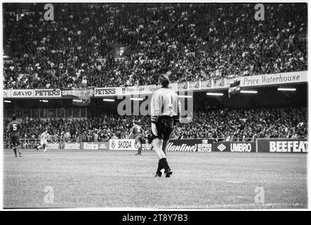 La légende galloise du gardien de but Neville Southall en action. Coupe du monde de la FIFA 1994 qualification Groupe 4 – pays de Galles contre RCS (Tchécoslovaquie alias représentation des Tchèques et des Slovaques) au Cardiff Arms Park, pays de Galles, Royaume-Uni, le 8 septembre 1993. Une victoire pour le pays de Galles dans ce match garantirait presque la qualification avec 2 matchs de groupe restants. Ils ont mené 2-1 mais ont concédé un but de coup franc tardif de Peter Dubovský et le match s'est terminé 2-2. Photo : Rob Watkins Banque D'Images