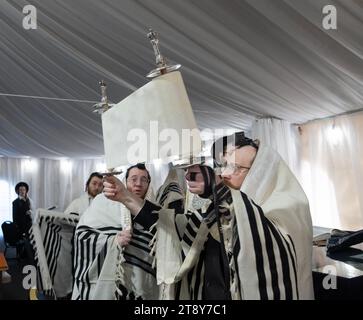 Après un jour de semaine la lecture de la Torah un juif orthodoxe soulève la Torah parce que tous ceux qui voient les lettres sont bénis. Dans le comté de Rockland, New York. Banque D'Images