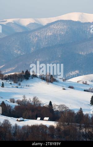 Vue hivernale de la crête de Borzhava depuis le col de Synevyr dans les montagnes des Carpates, Ukraine Banque D'Images