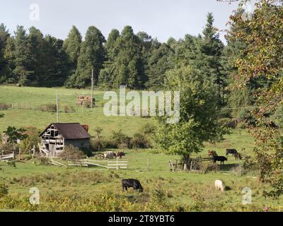Ferme sur la Blue Ridge Parkway, Caroline du Nord, États-Unis Banque D'Images