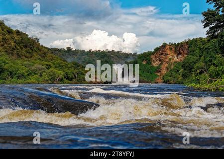 Murchison Falls National Park en Ouganda, de belles chutes d'eau sur le Nil Victoria, arc-en-ciel au-dessus des chutes Uhuru et Kabarega Falls cascade Banque D'Images