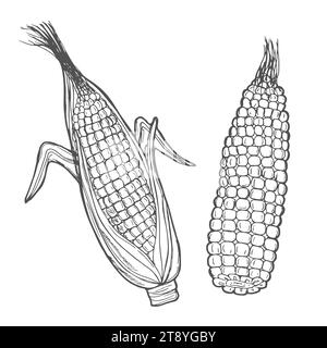 Icône de doodle de contour d'épi de maïs popcorn dessiné à la main vectoriel. Illustration de croquis alimentaire pour impression, web, mobile et infographie isolé Illustration de Vecteur