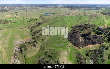 Vue aérienne par drone des pâturages de la province de Huelva, dans le village de Beas, avec des chênes-lièges et des prairies verdoyantes Banque D'Images