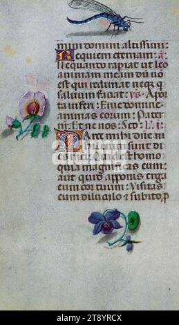 Livre d'heures, Marginalia, ce manuscrit a été créé ca. 1500 à Bruges ou Gand, et a été influencé par le Maître des livres de prières, le Maître du Livre de prières de Dresde, et le Maître des scènes de David dans le bréviaire Grimani. Il a probablement été fait pour une patronne avec une affinité franciscaine, comme suggéré par le contenu du calendrier. Le livre est fortement illuminé avec dix-neuf miniatures, marginalia sur des pages sans miniatures, et vingt-quatre illuminations de calendrier, ces dernières comprenant des signes du zodiaque associés à des illustrations des travaux du mois Banque D'Images