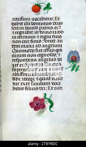 Livre d'heures, ce manuscrit a été créé ca. 1500 à Bruges ou Gand, et a été influencé par le Maître des livres de prières, le Maître du Livre de prières de Dresde, et le Maître des scènes de David dans le bréviaire Grimani. Il a probablement été fait pour une patronne avec une affinité franciscaine, comme suggéré par le contenu du calendrier. Le livre est fortement illuminé avec dix-neuf miniatures, marginalia sur des pages sans miniatures, et vingt-quatre illuminations de calendrier, ces dernières comprenant des signes du zodiaque associés à des illustrations des travaux du mois Banque D'Images