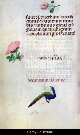 Livre d'heures, ce manuscrit a été créé ca. 1500 à Bruges ou Gand, et a été influencé par le Maître des livres de prières, le Maître du Livre de prières de Dresde, et le Maître des scènes de David dans le bréviaire Grimani. Il a probablement été fait pour une patronne avec une affinité franciscaine, comme suggéré par le contenu du calendrier. Le livre est fortement illuminé avec dix-neuf miniatures, marginalia sur des pages sans miniatures, et vingt-quatre illuminations de calendrier, ces dernières comprenant des signes du zodiaque associés à des illustrations des travaux du mois Banque D'Images