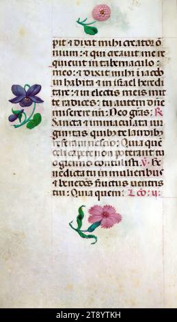 Livre d'heures, ce manuscrit a été créé ca. 1500 à Bruges ou Gand, et a été influencé par le Maître des livres de prières, le Maître du Livre de prières de Dresde, et le Maître des scènes de David dans le bréviaire Grimani. Il a probablement été fait pour une patronne avec une affinité franciscaine, comme suggéré par le contenu du calendrier. Le livre est fortement illuminé avec dix-neuf miniatures, marginalia sur des pages sans miniatures, et vingt-quatre illuminations de calendrier, ces dernières comprenant des signes du zodiaque associés à des illustrations des travaux du mois Banque D'Images