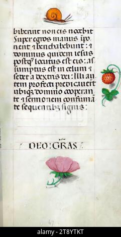 Livre d'heures, ce manuscrit a été créé ca. 1500 à Bruges ou Gand, et a été influencé par le Maître des livres de prières, le Maître du Livre de prières de Dresde, et le Maître des scènes de David dans le bréviaire Grimani. Il a probablement été fait pour une patronne avec une affinité franciscaine, comme suggéré par le contenu du calendrier. Le livre est fortement illuminé avec dix-neuf miniatures, marginalia sur des pages sans miniatures, et vingt-quatre illuminations de calendrier, ces dernières comprenant des signes du zodiaque associés à des illustrations des travaux du mois Banque D'Images